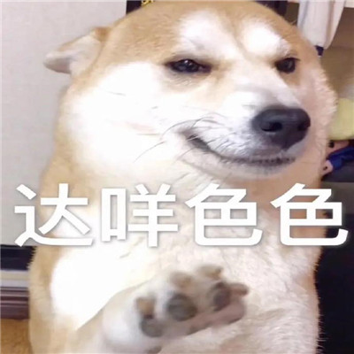美图秀秀